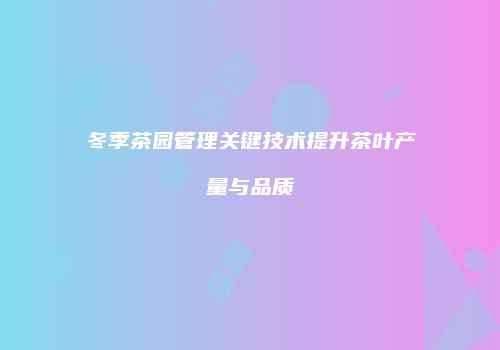 冬季茶园管理关键技术提升茶叶产量与品质
