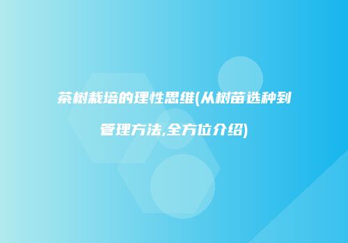 茶树栽培的理性思维(从树苗选种到管理方法,全方位介绍)