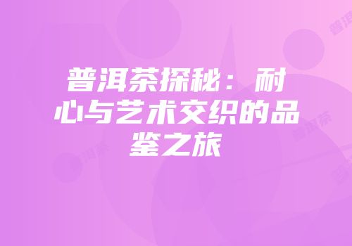 普洱茶探秘：耐心与艺术交织的品鉴之旅