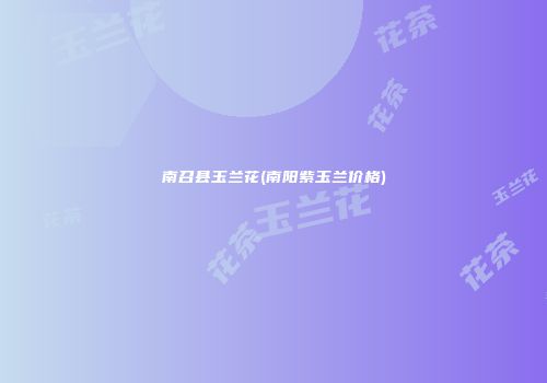 南召县玉兰花(南阳紫玉兰价格)