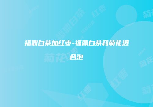 福鼎白茶加红枣-福鼎白茶和菊花混合泡