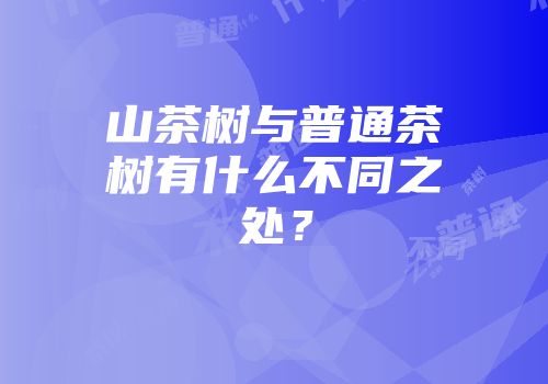 山茶树与普通茶树有什么不同之处？