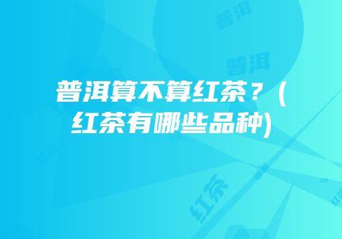 普洱算不算红茶？(红茶有哪些品种)
