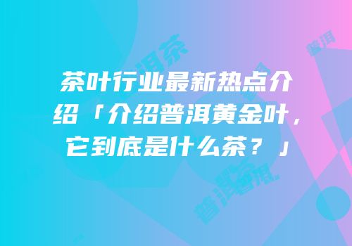 茶叶行业最新热点介绍「介绍普洱黄金叶，它到底是什么茶？」