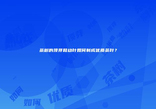 茶树的顶芽和幼叶如何制成优质茶叶？