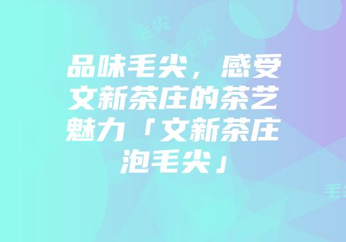 品味毛尖，感受文新茶庄的茶艺魅力「文新茶庄泡毛尖」