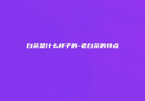 白茶是什么样子的-老白茶的特点