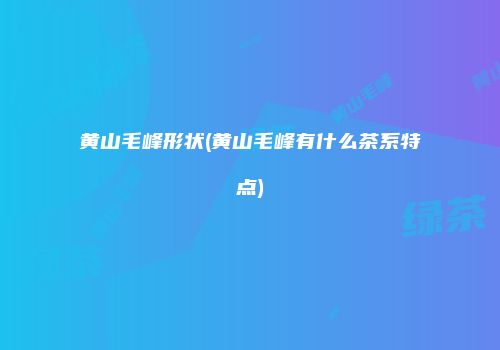 黄山毛峰形状(黄山毛峰有什么茶系特点)