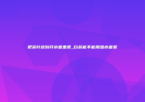 把茶叶放到开水壶里煮_白茶能不能用热水壶煮