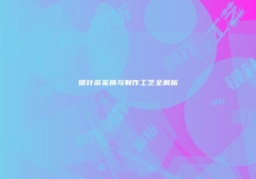 银针茶采摘与制作工艺全解析