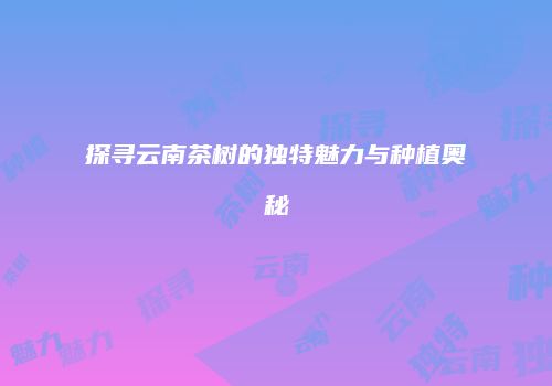 探寻云南茶树的独特魅力与种植奥秘
