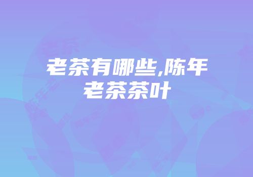 老茶有哪些,陈年老茶茶叶