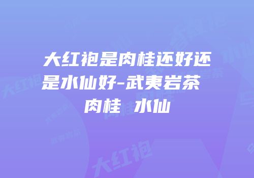 大红袍是肉桂还好还是水仙好-武夷岩茶 肉桂 水仙