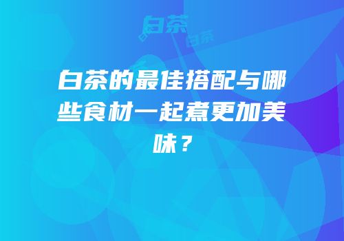 白茶的最佳搭配与哪些食材一起煮更加美味？