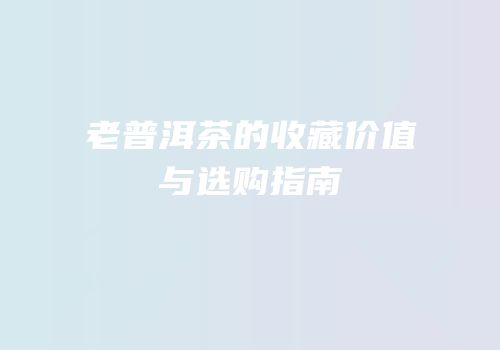 老普洱茶的收藏价值与选购指南