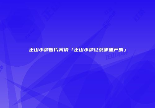 正山小种图片高清「正山小种红茶哪里产的」