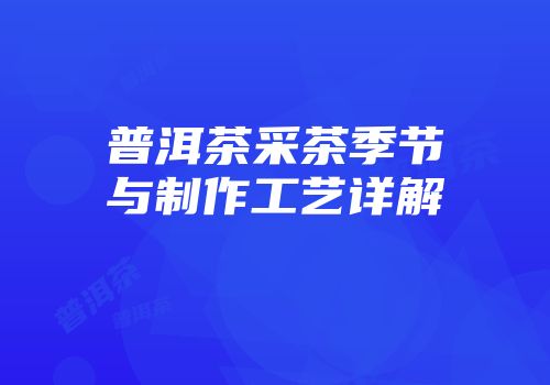 普洱茶采茶季节与制作工艺详解