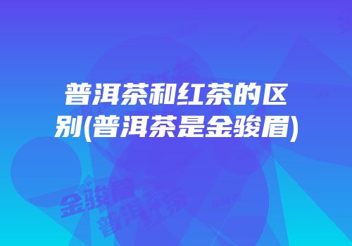 普洱茶和红茶的区别(普洱茶是金骏眉)