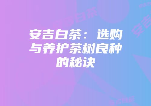 安吉白茶：选购与养护茶树良种的秘诀