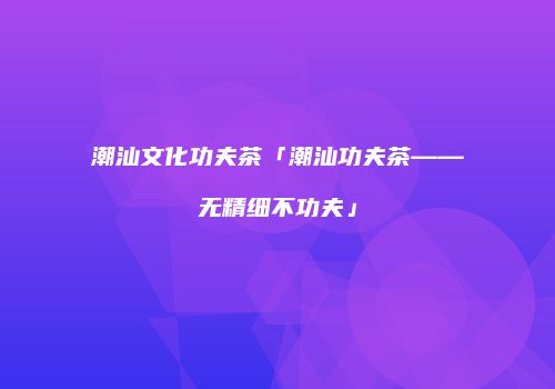 潮汕文化功夫茶「潮汕功夫茶——无精细不功夫」
