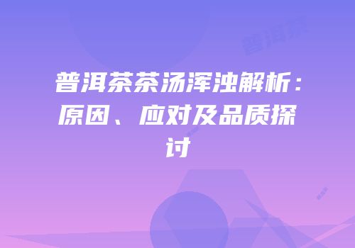普洱茶茶汤浑浊解析：原因、应对及品质探讨