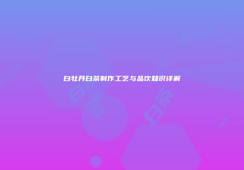 白牡丹白茶制作工艺与品饮知识详解