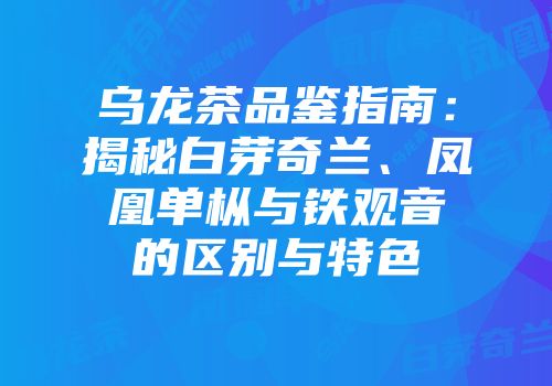 乌龙茶品鉴指南：揭秘白芽奇兰、凤凰单枞与铁观音的区别与特色