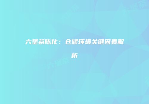 六堡茶陈化：仓储环境关键因素解析