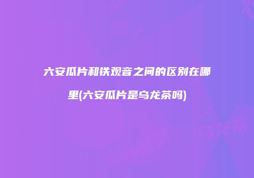 六安瓜片和铁观音之间的区别在哪里(六安瓜片是乌龙茶吗)