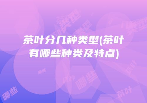 茶叶分几种类型(茶叶有哪些种类及特点)