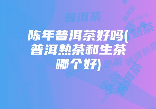 陈年普洱茶好吗(普洱熟茶和生茶哪个好)