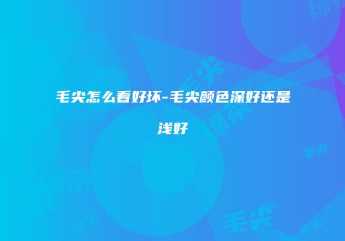 毛尖怎么看好坏-毛尖颜色深好还是浅好