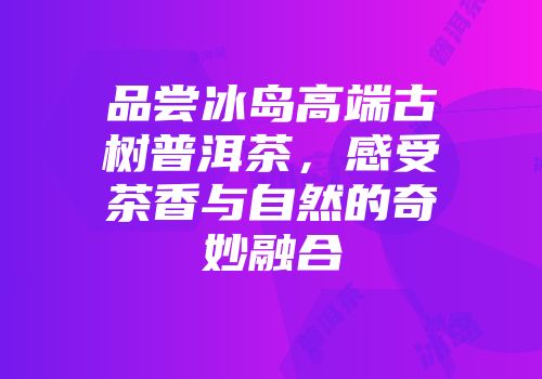 品尝冰岛高端古树普洱茶，感受茶香与自然的奇妙融合