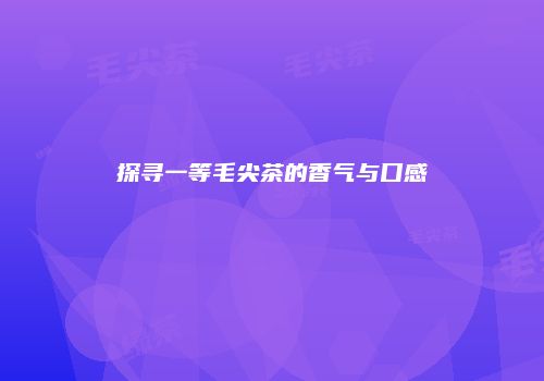 探寻一等毛尖茶的香气与口感
