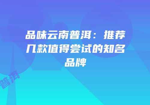 品味云南普洱：推荐几款值得尝试的知名品牌