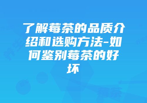 了解莓茶的品质介绍和选购方法-如何鉴别莓茶的好坏