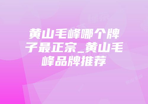 黄山毛峰哪个牌子最正宗_黄山毛峰品牌推荐
