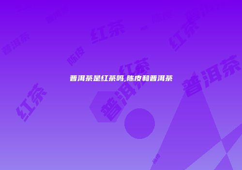 普洱茶是红茶吗,陈皮和普洱茶