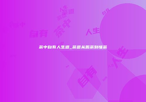 茶中自有人生道_茶道从喝茶到懂茶