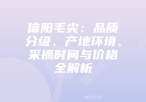 信阳毛尖：品质分级、产地环境、采摘时间与价格全解析