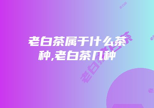 老白茶属于什么茶种,老白茶几种