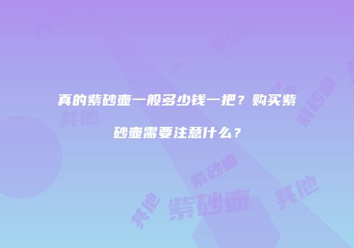 真的紫砂壶一般多少钱一把？购买紫砂壶需要注意什么？