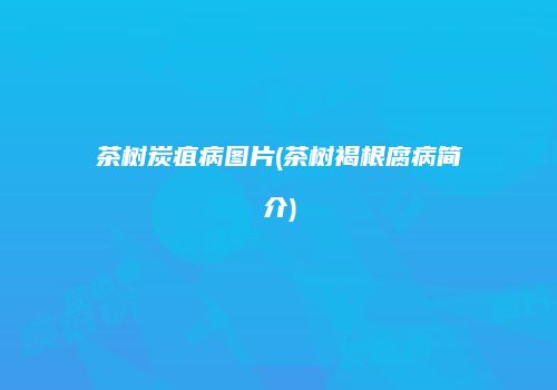 茶树炭疽病图片(茶树褐根腐病简介)