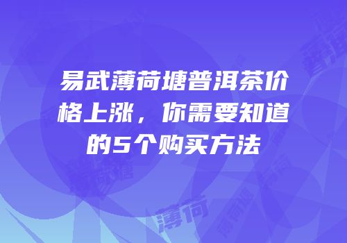 易武薄荷塘普洱茶价格上涨，你需要知道的5个购买方法
