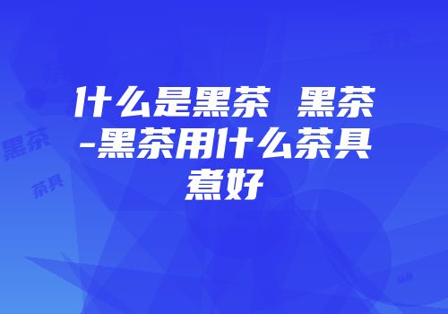 什么是黑茶 黑茶-黑茶用什么茶具煮好