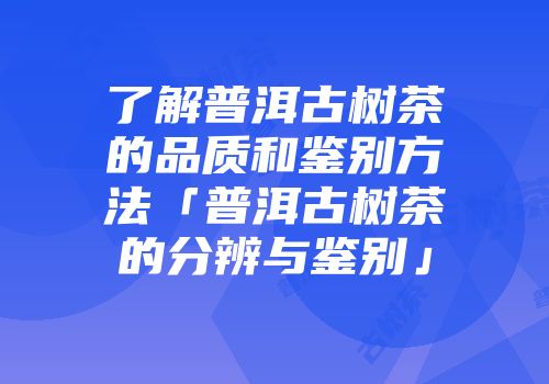 了解普洱古树茶的品质和鉴别方法「普洱古树茶的分辨与鉴别」