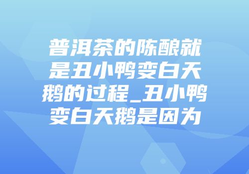 普洱茶的陈酿就是丑小鸭变白天鹅的过程_丑小鸭变白天鹅是因为