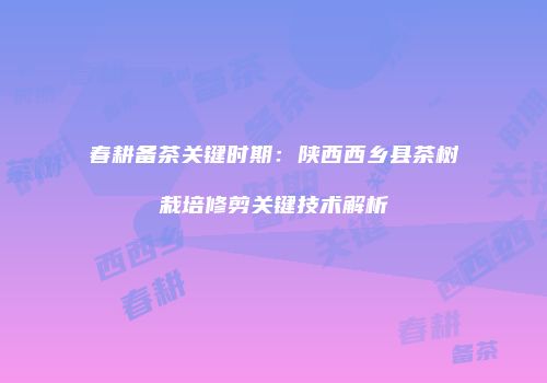 春耕备茶关键时期：陕西西乡县茶树栽培修剪关键技术解析