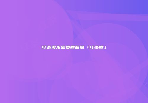红茶需不需要煮着喝「红茶煮」
