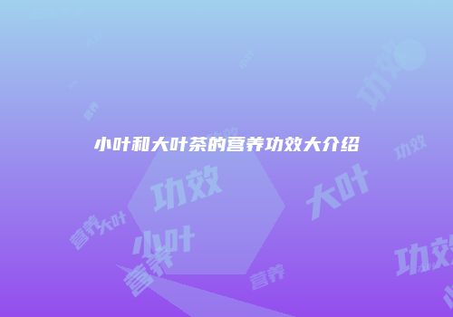 小叶和大叶茶的营养功效大介绍
